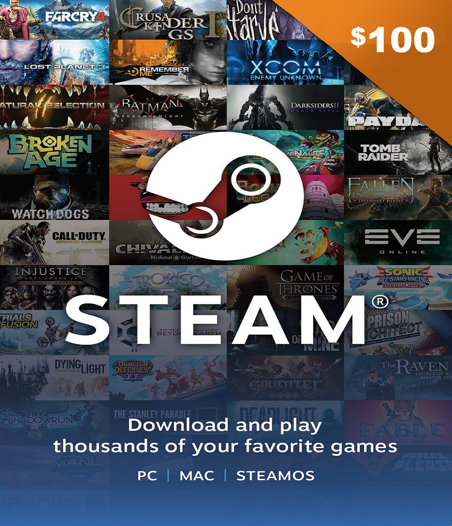 Steam Gift Card 100 USD â ExoPlayZone